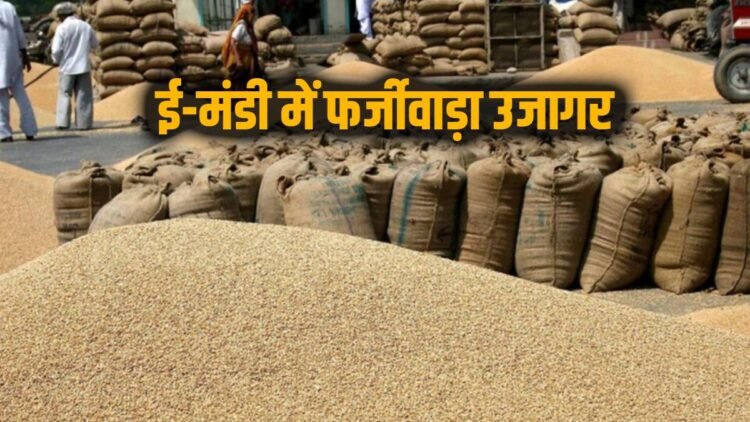 ई-मंडी में फर्जीवाड़ा उजागर, 5,600 क्विंटल धान के अवैध परिवहन पर कार्रवाई, फर्म सील, FIR दर्ज
