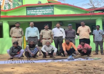 उदंती सीतानदी टाइगर रिजर्व में बड़ी कार्रवाई, हाथी दांत तस्करी में 3 आरोपी गिरफ्तार