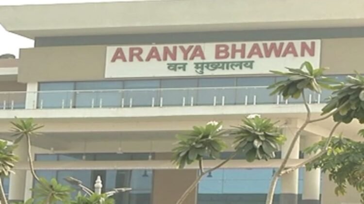 छत्तीसगढ़ में 2024 बैच के IFS प्रशिक्षु अधिकारियों की फील्ड पोस्टिंग, वन विभाग ने जारी किए आदेश